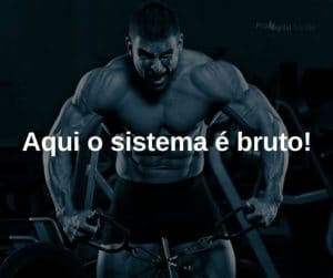 Aqui o sistema é bruto! - Frases de motivação