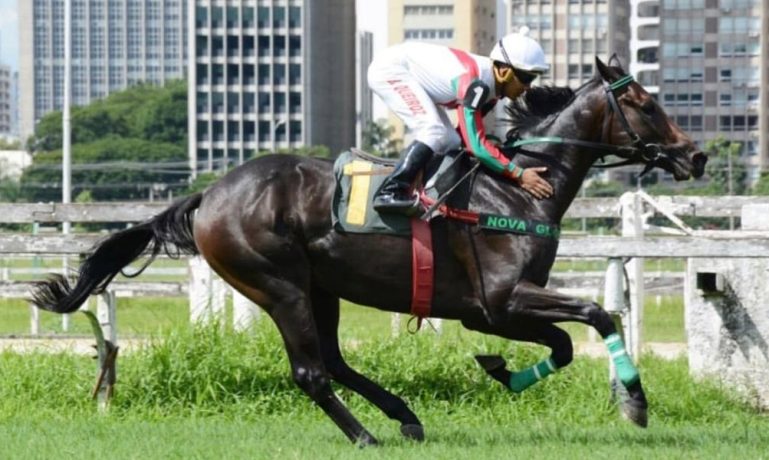 Renato Muoio apaixonado por cavalos e investidor do turfe explica como funcionam as provas no esporte.