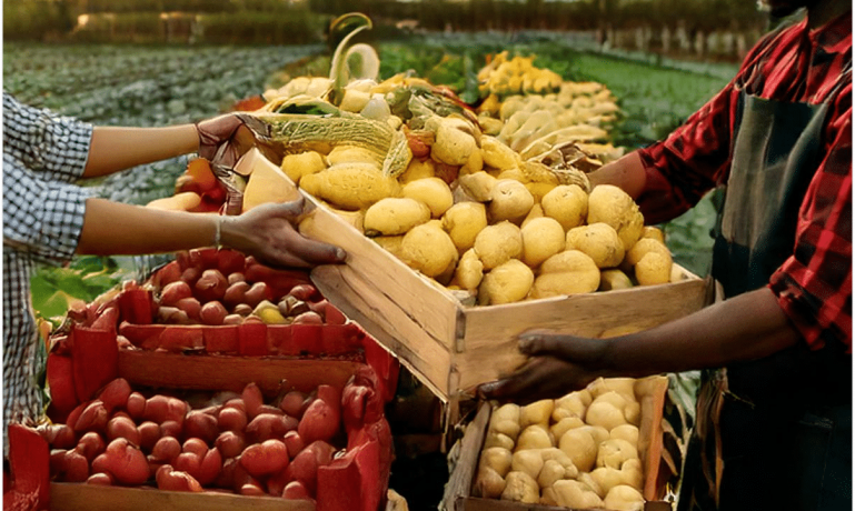 Imagem de produtores rurais representando o Programa de Aquisição de Alimentos, o PAA