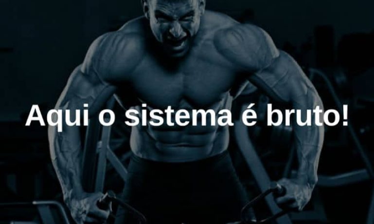 Aqui o sistema é bruto! - Frases de motivação