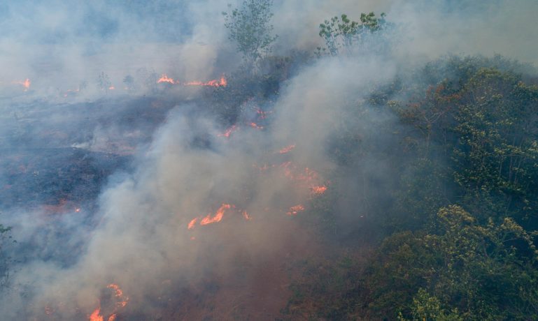 Imagem de uma floresta pegando fogo representado que o Governo vai liberar mais recursos contra queimadas