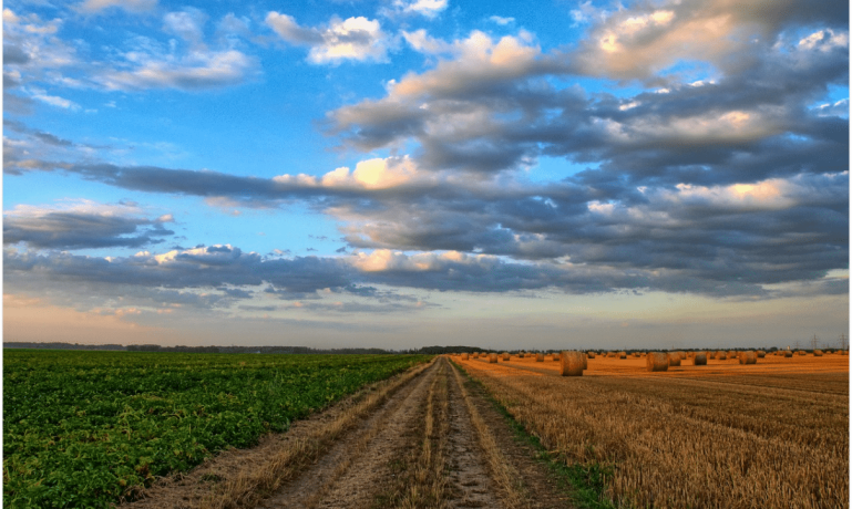 Imagem de um campo representando os Benefícios para produtor rural: veja o que o INSS