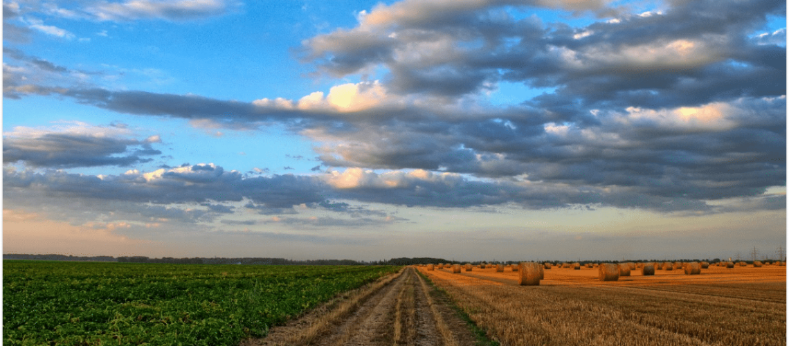 Imagem de um campo representando os Benefícios para produtor rural: veja o que o INSS