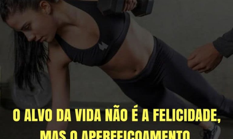 Frases de motivação - O alvo da vida não é a felicidade, mas o aperfeiçoamento.