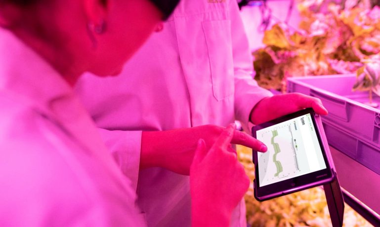 Tecnologias inovadoras na agricultura e silvicultura