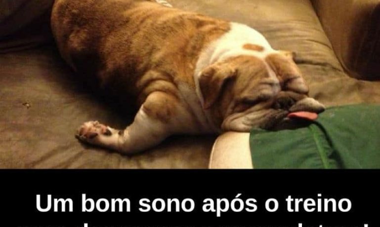 Um bom sono após o treno para descansar a musculatura! - frases de motivação