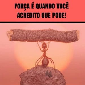 Frases de motivação - Força é quando você acredita que pode!