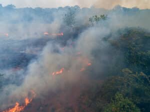 Imagem de uma floresta pegando fogo representado que o Governo vai liberar mais recursos contra queimadas