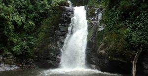 Macacos (São Sebastião das Águas Claras)-MG - Brasil