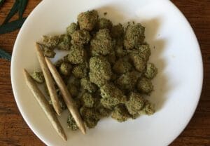 Maconha, Cannabis