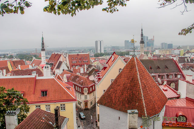 Mirante de Tallinn