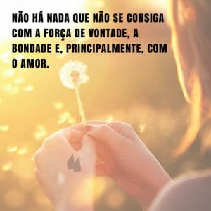 Não há nada que não se consiga com a força de vontade, a bondade e, principalmente, com o amor. - Marcus Cícero