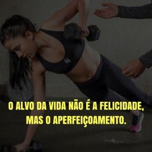 Frases de motivação - O alvo da vida não é a felicidade, mas o aperfeiçoamento.