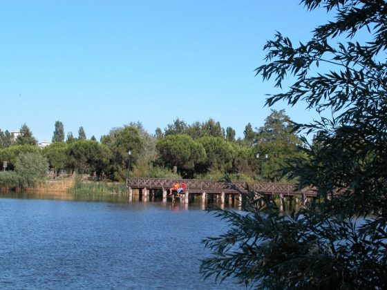 Parco del Gelso