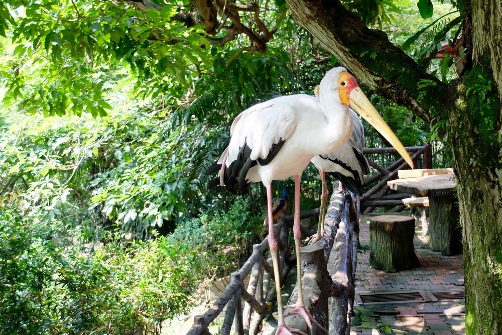 Parque de Aves de Kuala Lumpur