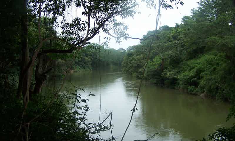 Parque Nacional Guanacaste de belmopan