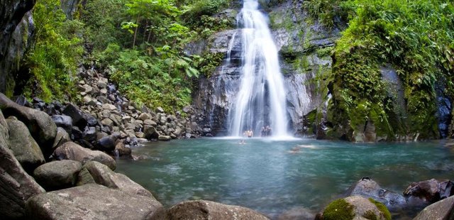 Pura Vida Gardens and Waterfalls