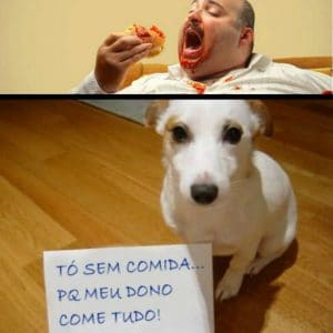 Tô sem comida... pq meu dono come tudo - frases de incentivo