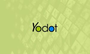 Yodot Video Repair